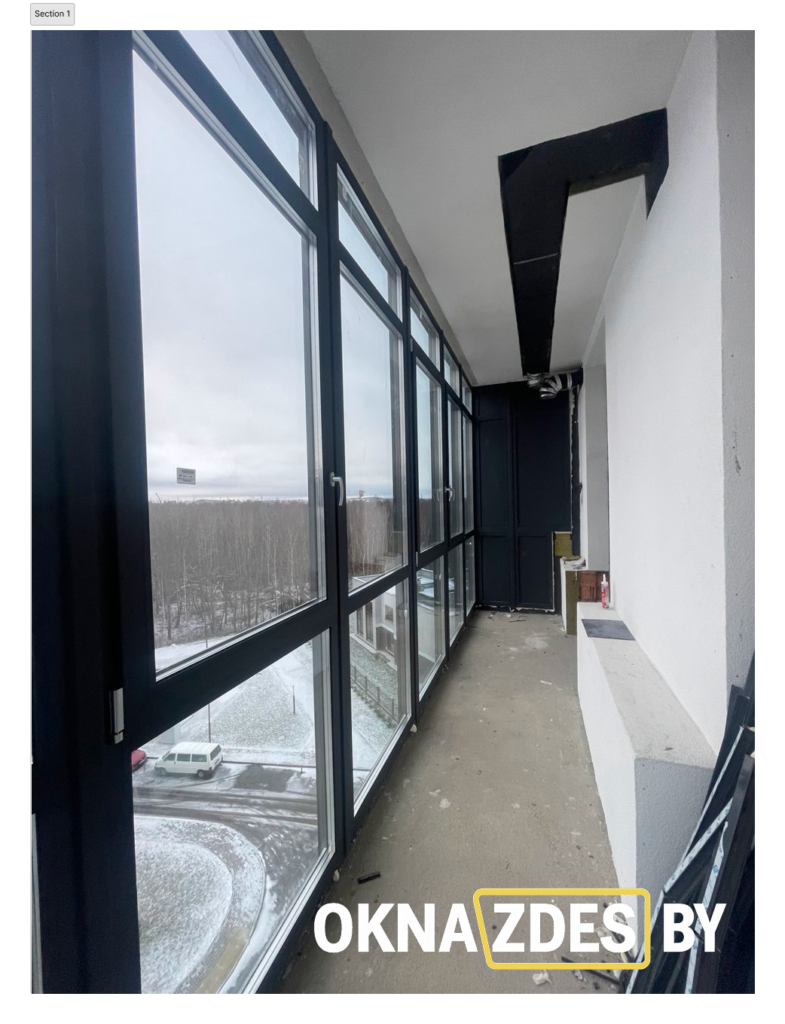 Участок лоджии с балконной дверью и верхними фрамугами; тёмные ПВХ-рамы, панорамный вид.
